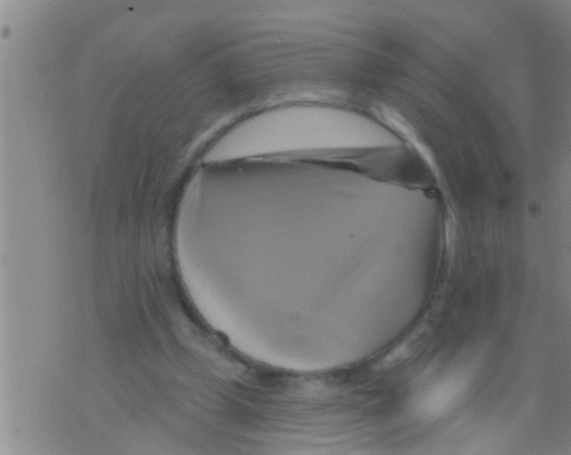 X0000075900249200610151823