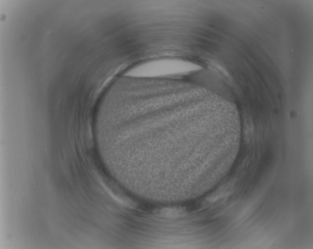 X0000075900251200610151823