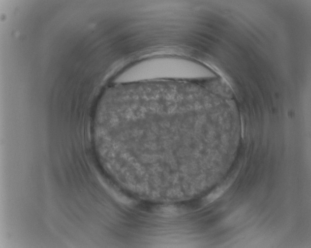 X0000075900253200610151823