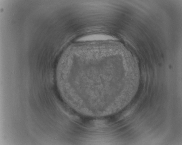 X0000075900255200610151823