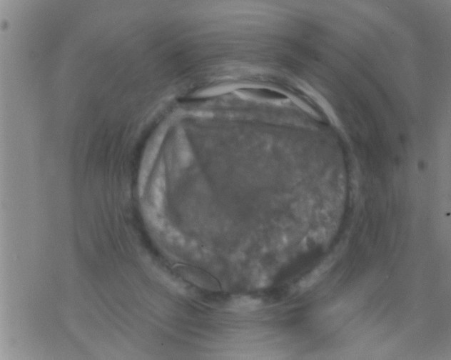 X0000075900257200610151823