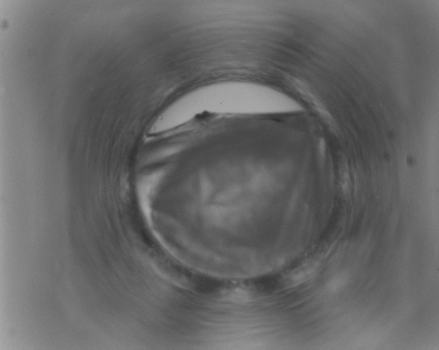 X0000075900259200610151823