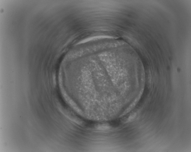 X0000075900262200610151823