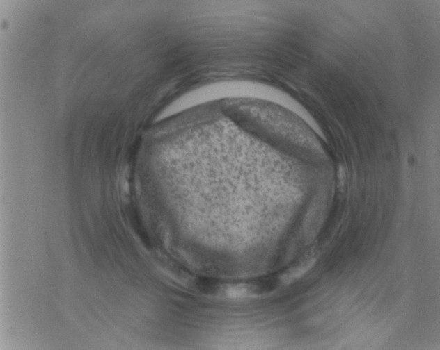 X0000075900264200610151823