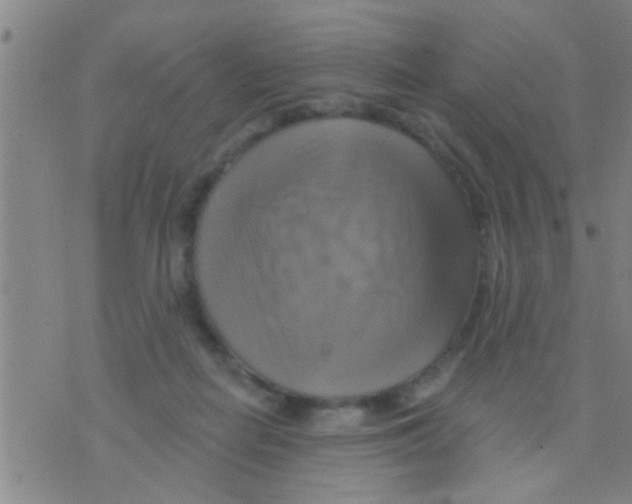 X0000075900266200610151823