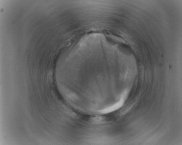 X0000075900269200610151823