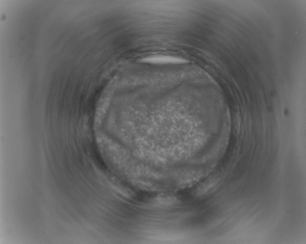 X0000075900270200610151823