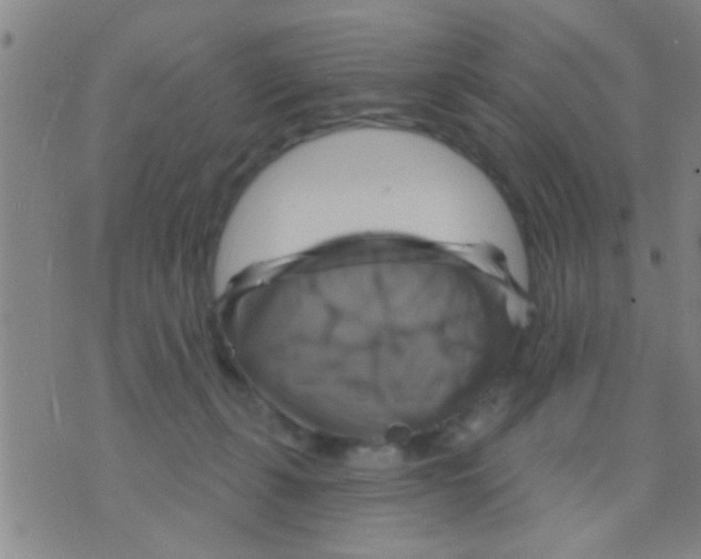 X0000075900271200610151823