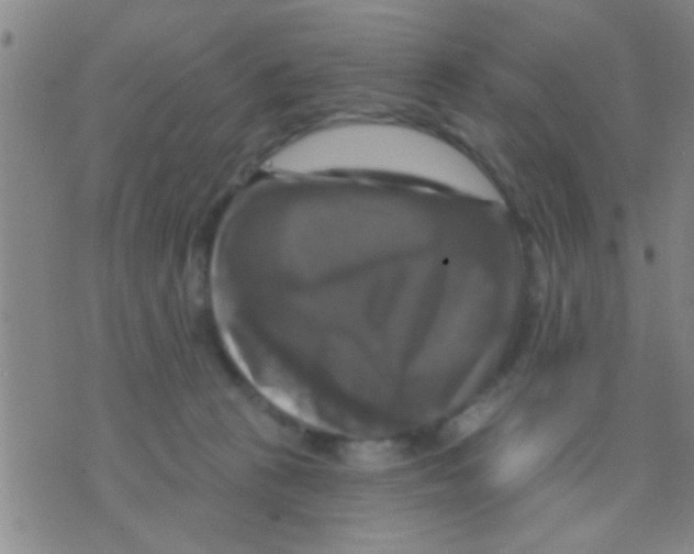 X0000075900273200610151824