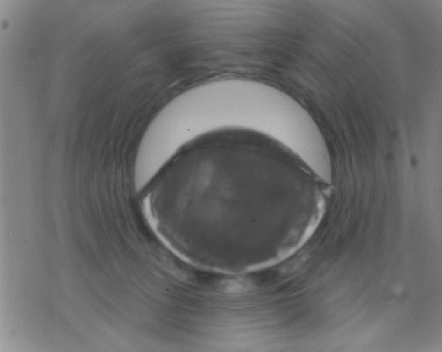 X0000075900275200610151824