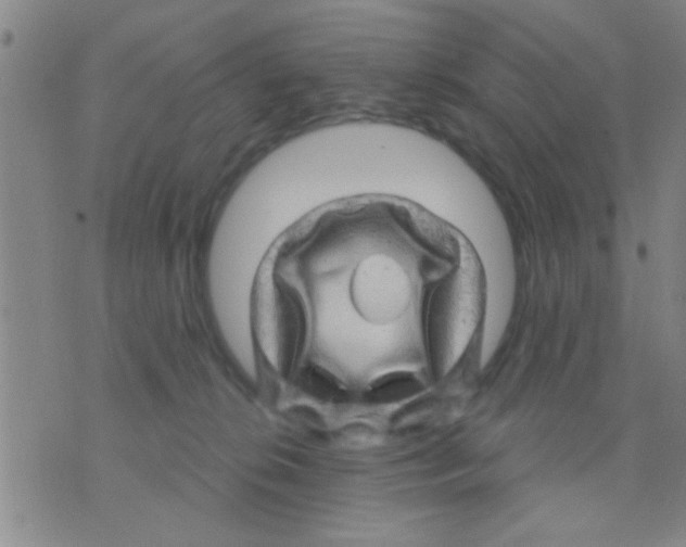 X0000075900276200610151824