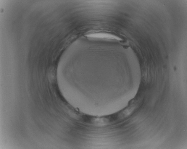 X0000075900277200610151824