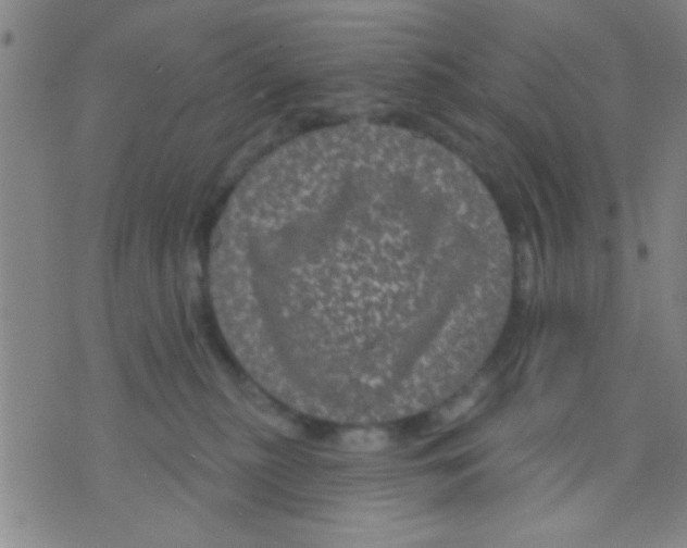 X0000075900279200610151824