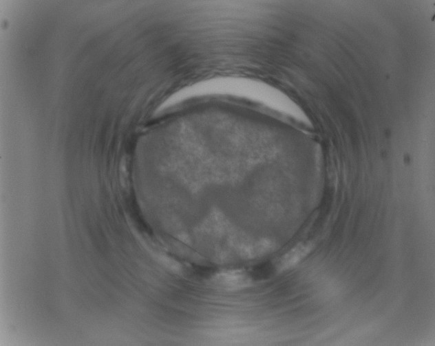 X0000075900280200610151824