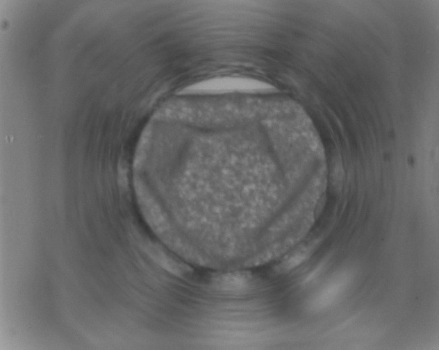 X0000075900282200610151824