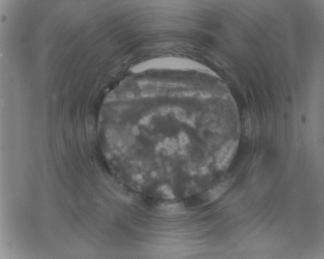 X0000075900283200610151824