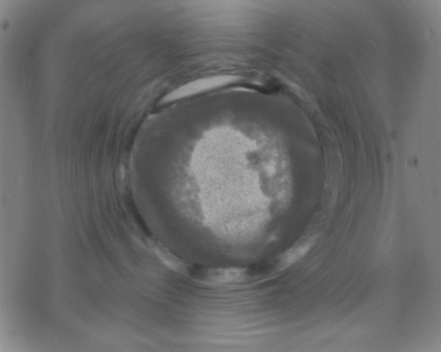 X0000075900288200610151824