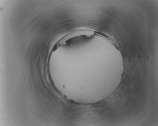 X0000075900289200610151823