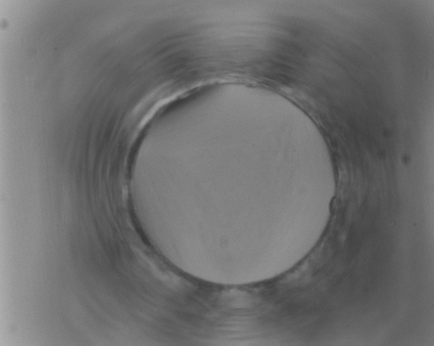 X0000075900290200610151823