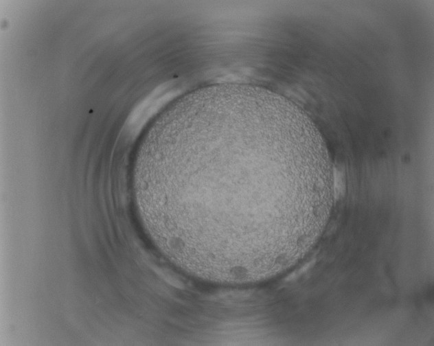 X0000075900291200610151823