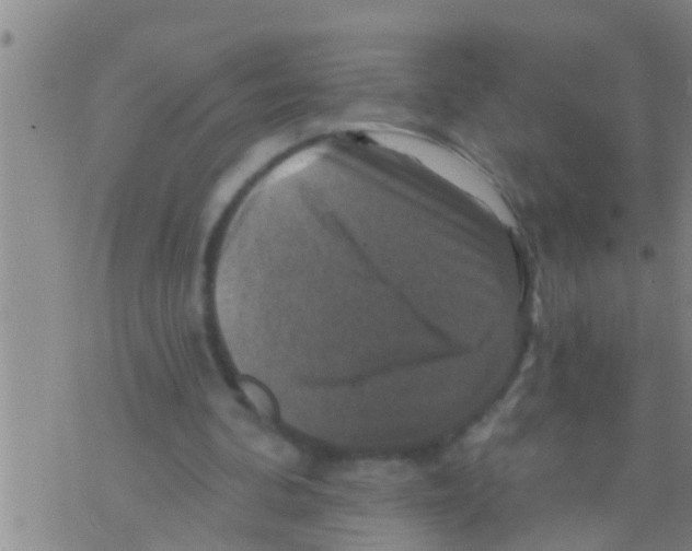 X0000075900292200610151823