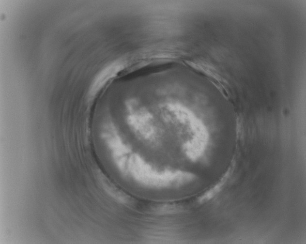 X0000075900293200610151823