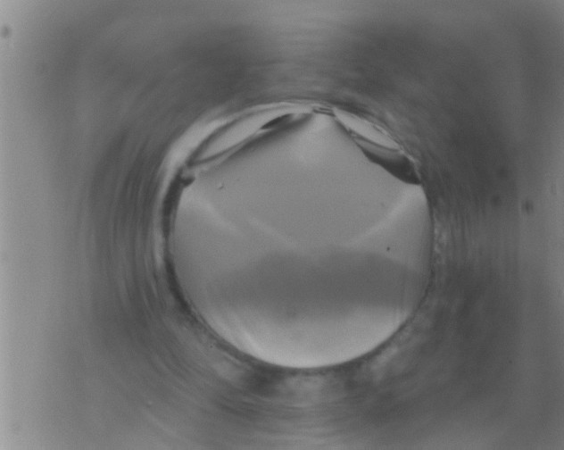 X0000075900294200610151823