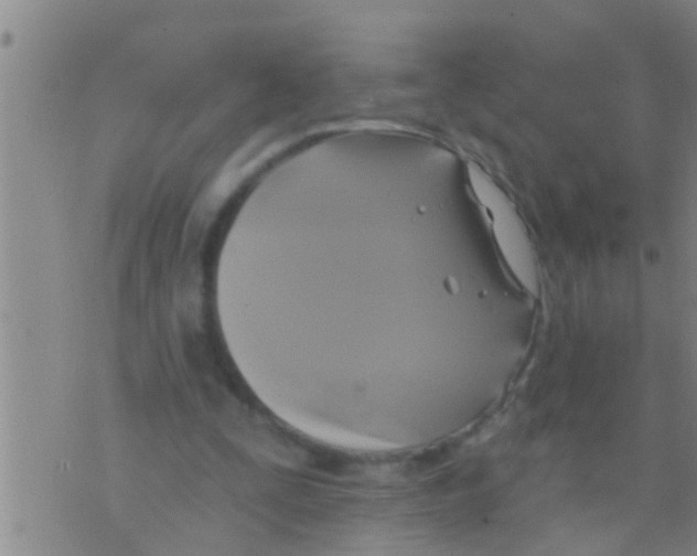 X0000075900295200610151823