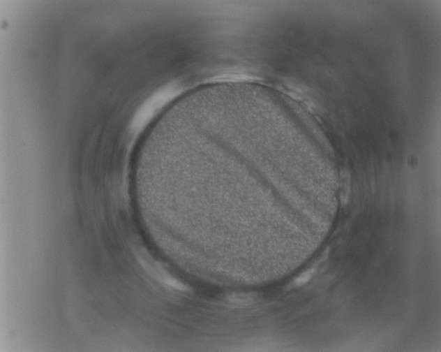 X0000075900296200610151823