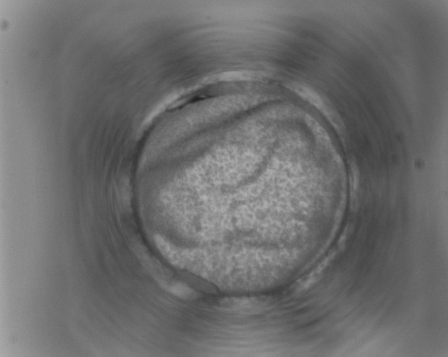 X0000075900297200610151823