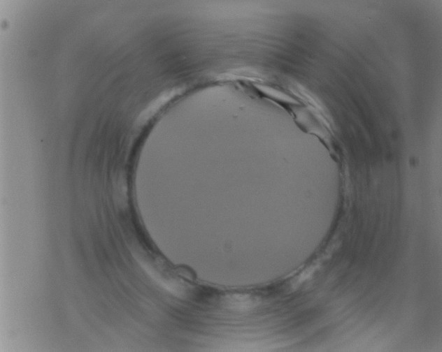 X0000075900298200610151823