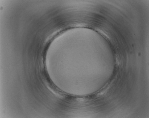 X0000075900302200610151823