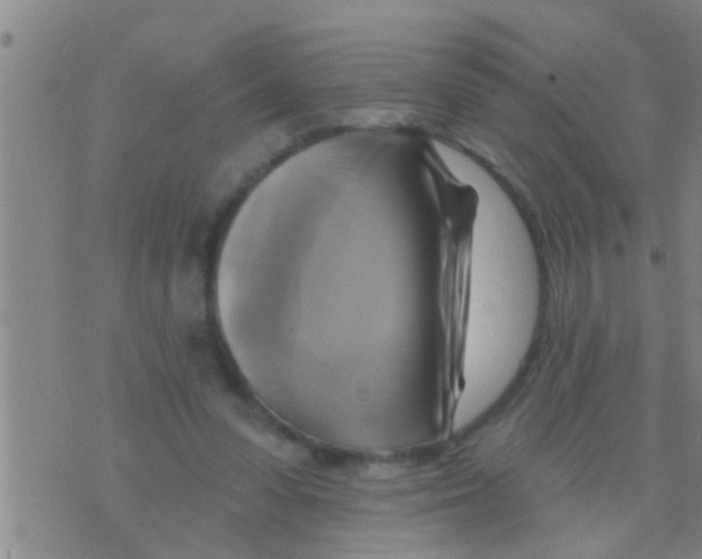 X0000075900303200610151823