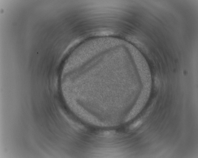 X0000075900304200610151823