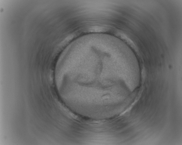 X0000075900305200610151823