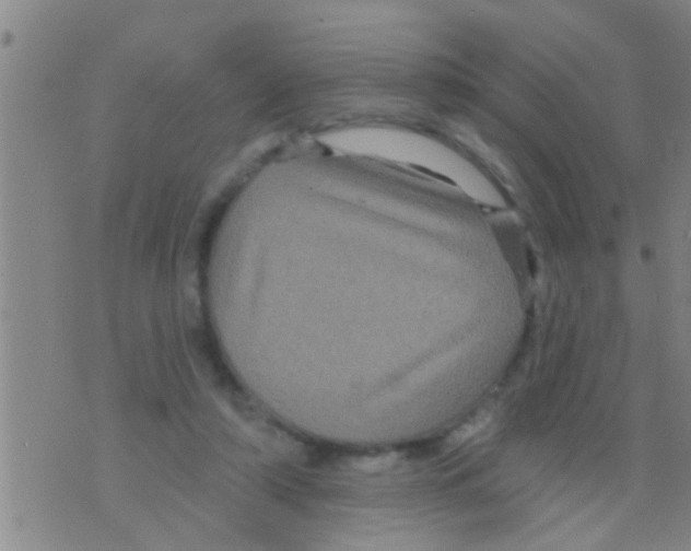 X0000075900306200610151823