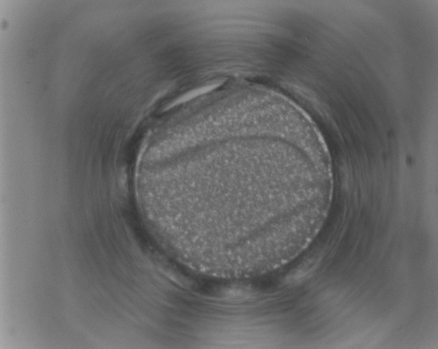 X0000075900308200610151823