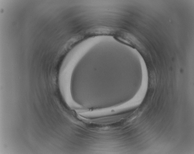 X0000075900309200610151823