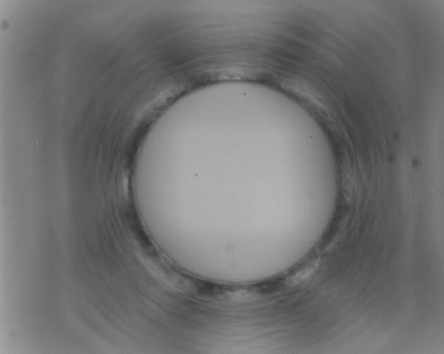 X0000075900310200610151823