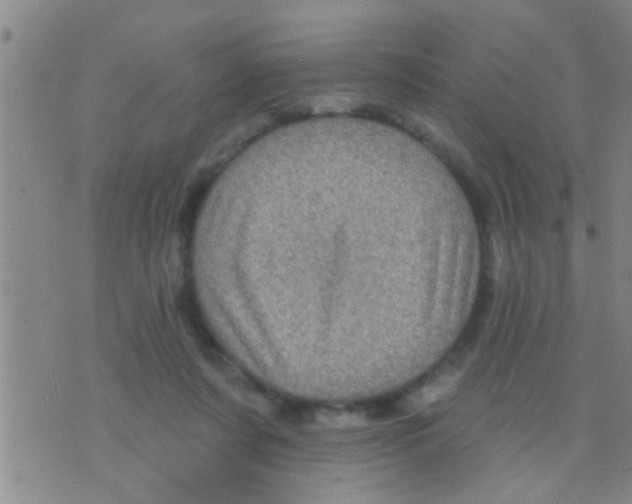 X0000075900311200610151823