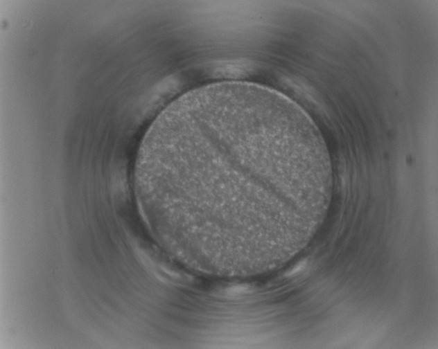 X0000075900312200610151823