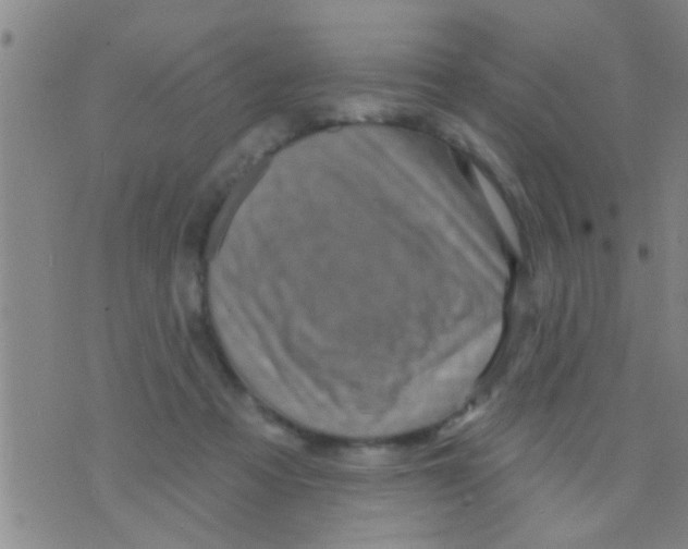 X0000075900313200610151823