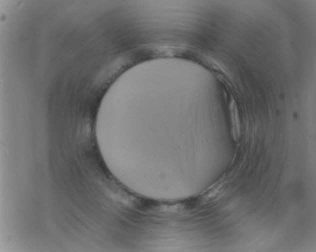 X0000075900314200610151823