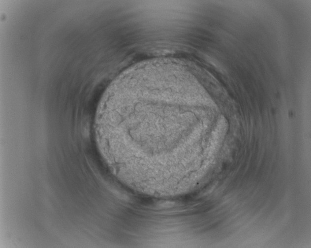 X0000075900315200610151823