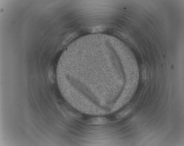 X0000075900316200610151823