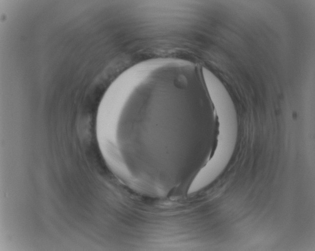 X0000075900319200610151822