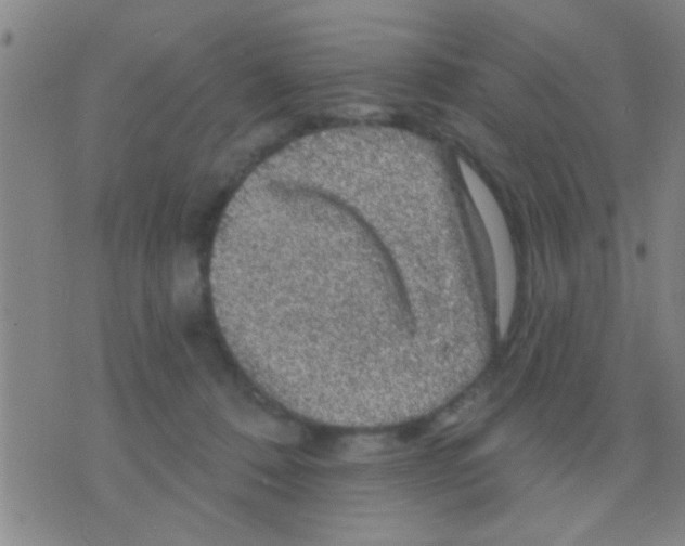 X0000075900320200610151822