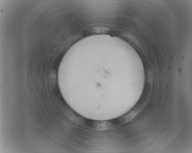 X0000075900321200610151822