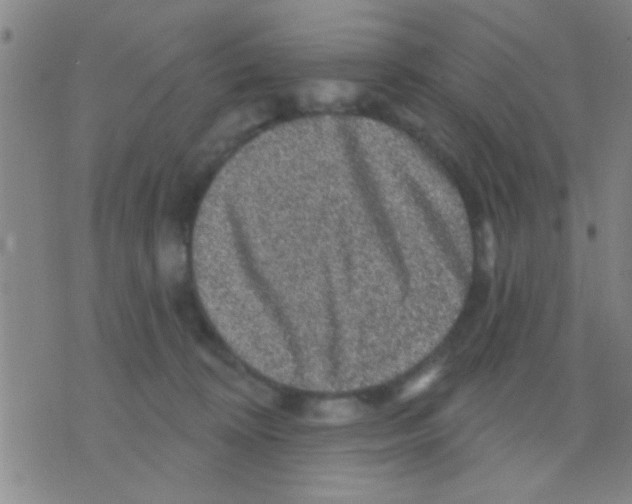 X0000075900324200610151822