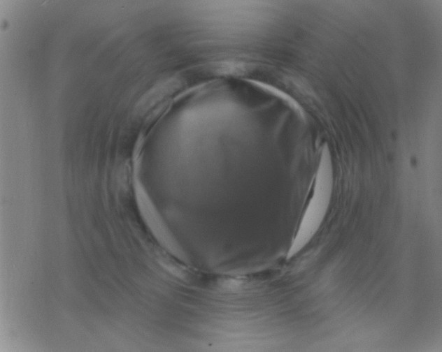 X0000075900325200610151822